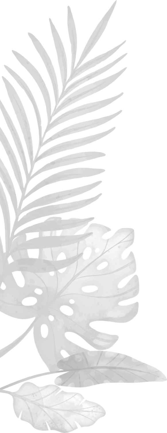 植物のイラスト