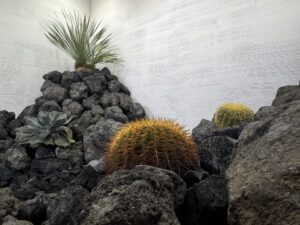 ワンランク上の庭づくり